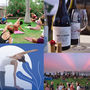Actividades Paralelas - Phe Festival 2026