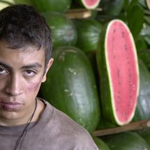 Cine mexicano en la Fundación Cristino de Vera tenerife 2026 abril