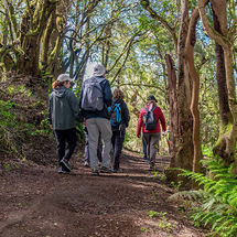 La Fundación CajaCanarias pone en marcha una nueva edición de enRuta 2026