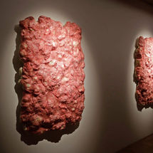 'Corpus Foraminis'