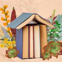Buzanada se llena de libros este viernes y sábado cultura tenerife abril 2026