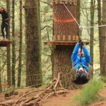 Comienza el año con Forestal Park