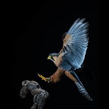 Encuentros en el M/A/L 2026 muestra la visión fotográfica de Jesús Rodríguez Falcón tenerife cultura