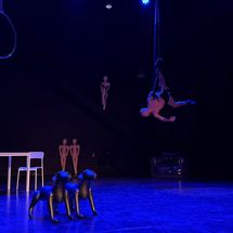  'Las mil caras de la verdad' de VérticeHEART en Santa Cruz de Tenerife abril 2026