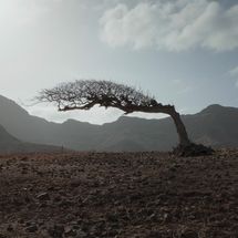 'Amílcar' y 'Nós, povo das ilhas' en Docanarias tenerife cine 2026