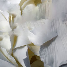 Santa Cruz inaugura la exposición 'Solo queda una planta de la abuela' tenerife enero 2026