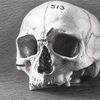 'Violencia en el mundo antiguo: el contexto...