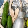 Feria Agroecológica FICMEC 2026