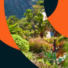 I Island² Chem Conference Bridging Tenerife...