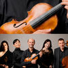Viola FEST 2026
