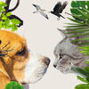 Día de los Animales 2026 - Santa Cruz de Tenerife