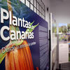 'Plantas de Canarias. Desde la arena a...