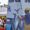 XI Feria del Pescado Arona 2025