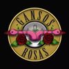 Gansos Rosas - Tributo a Guns N'Roses