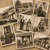 XVI Jornadas de Genealogía de Canarias