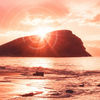 Renacer Tenerife 2026
