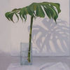 The not so still life II