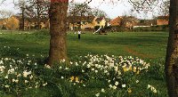 Binley Woods Village Green