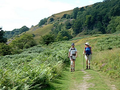 Approaching Whitcliffe Wood