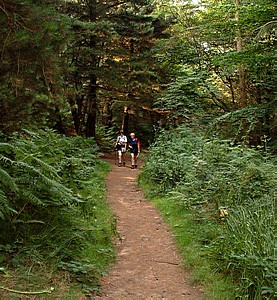 Climbing through Arncliffe Wood