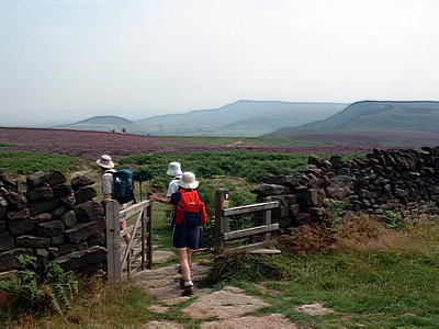 Entering Scarth Wood Moor