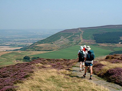 Descending to Carlton Bank