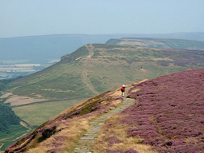 Cringle Moor, looking to Cold Moor