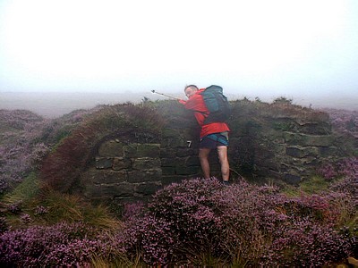 Grouse butts on Round Hill