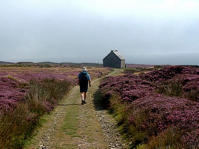 Approaching Trough House