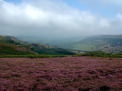 Great Fryup Dale
