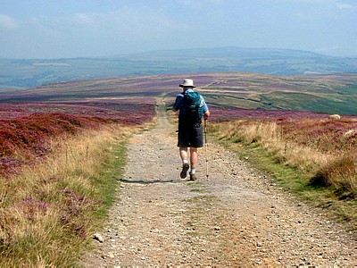 The path over Glaisdale Rigg