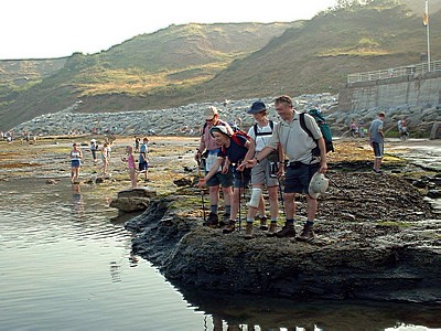 Throwing our pebbles into the North Sea