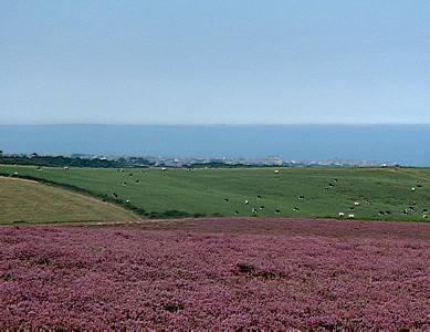 Whitby and the sea at last