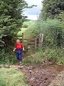 Fields climbing up from the railway