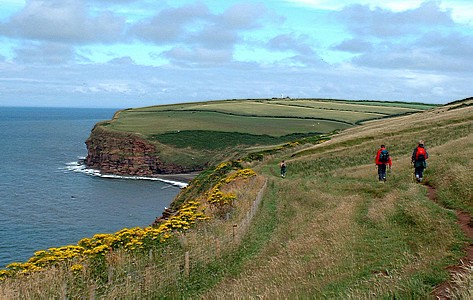 Clifftops at St. Bees Head