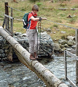 Plank bridge over the River Liza