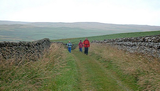 Descending from Moor Divock