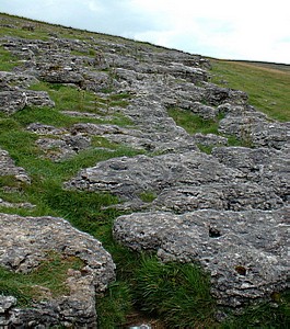 Limestone pavement