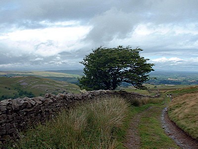 The view behind whilst ascending Hartley Fell