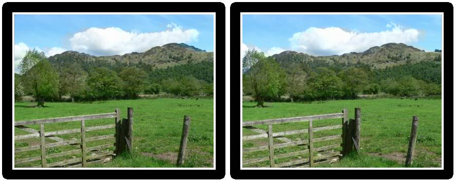 Sample crossed stereo view