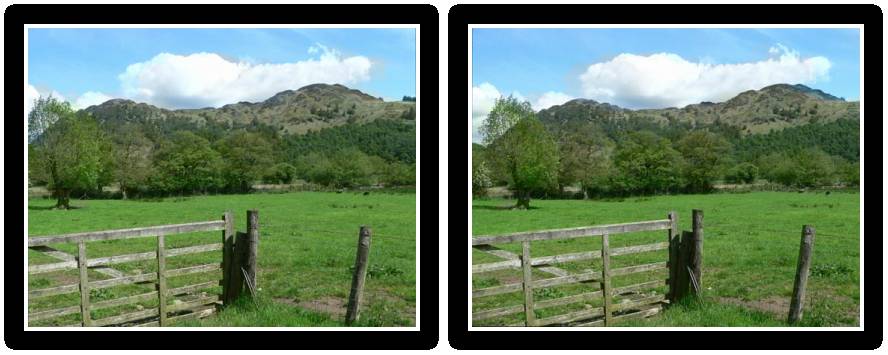 Sample parallel stereo view