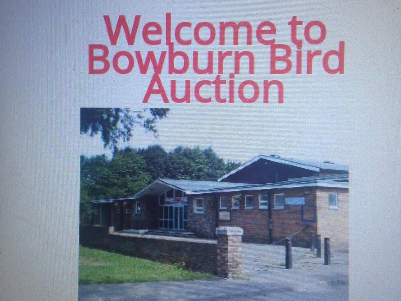 Bowburn Bird Auction Birdtrader