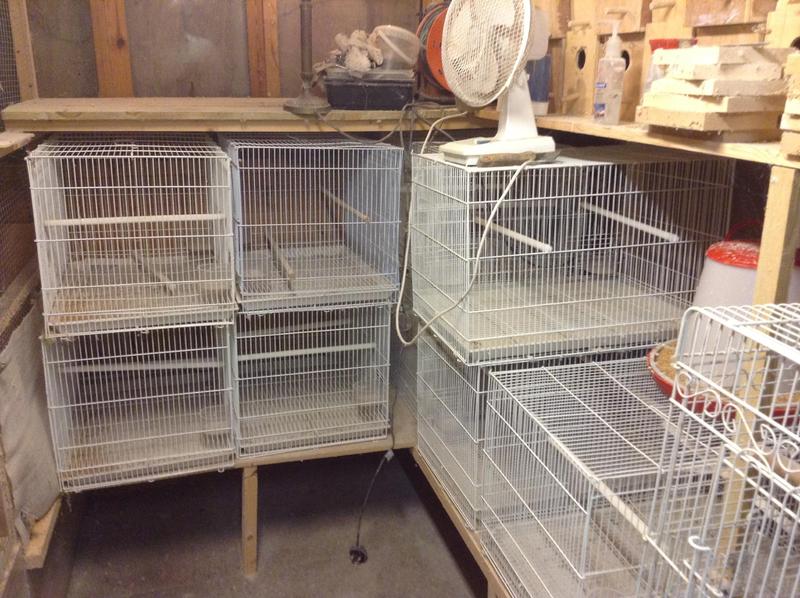 Budgerigar Breeding cages. Accesories FREE ! Birdtrader