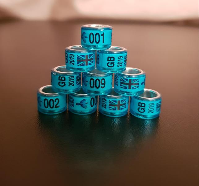 2020 GB UK Flag Show Rings *** SPECIAL OFFER *** 10 x Pigeon Rings 7mm