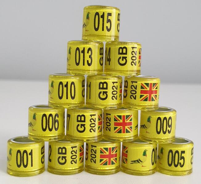 2021 7mm Pigeon Rings Birdtrader