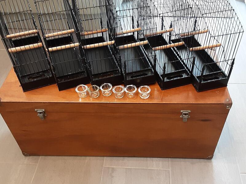 Border/Fife Canary Show Cages for sale. Birdtrader