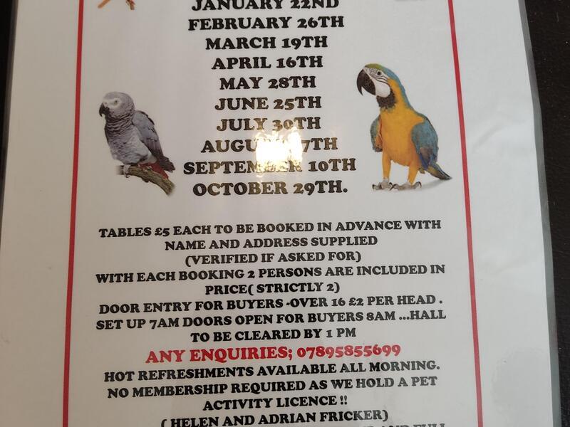 NEW !! TABLE TOP BIRD SALE BEGINNING JANUARY 23 ! Birdtrader
