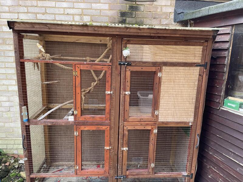 Small Birds Aviary For Sale Birdtrader