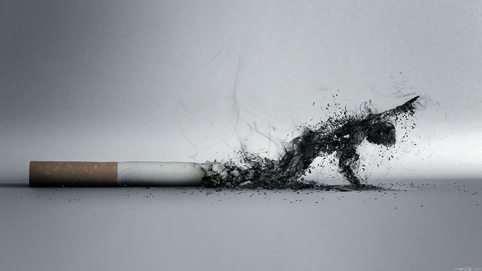Essay About Smoking Best Writing Help For You Smoking Essay Pay To Write Eaasy also Essay Writing Paper My Hobby Essay In English