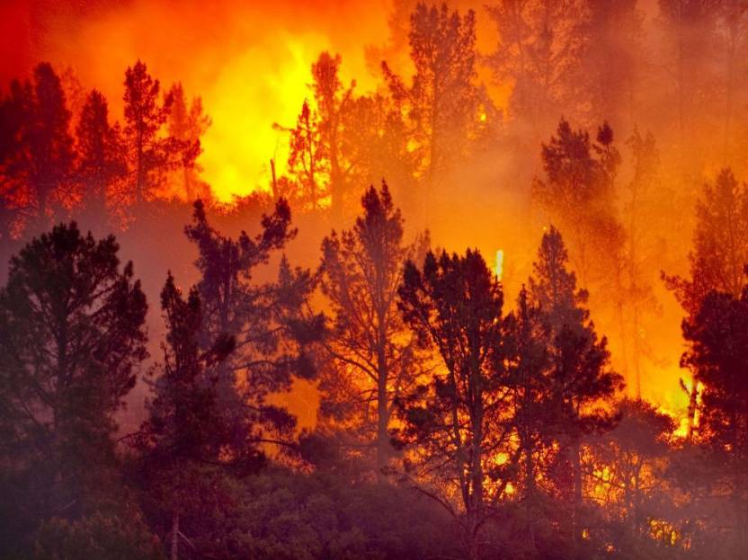 feu de forêt.jpg Chaleur, sécheresse : Gare aux feux de forêt !
